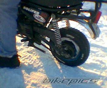 Photo 278169
