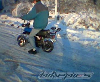 Photo 278170