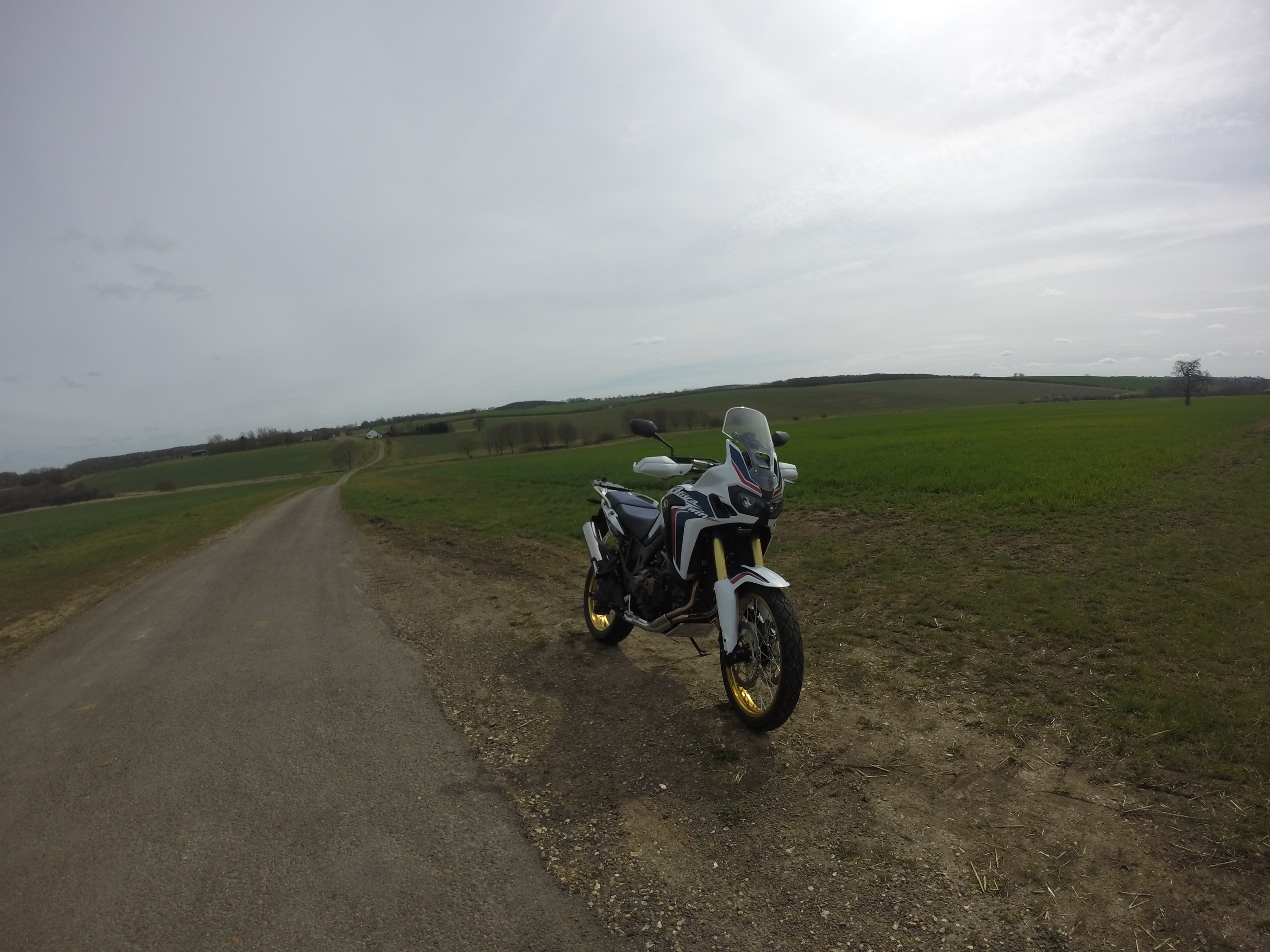 Photo 2781714