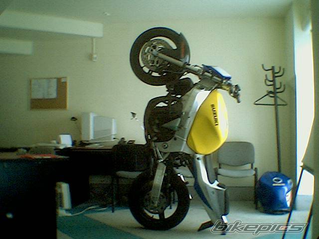 Photo 278187