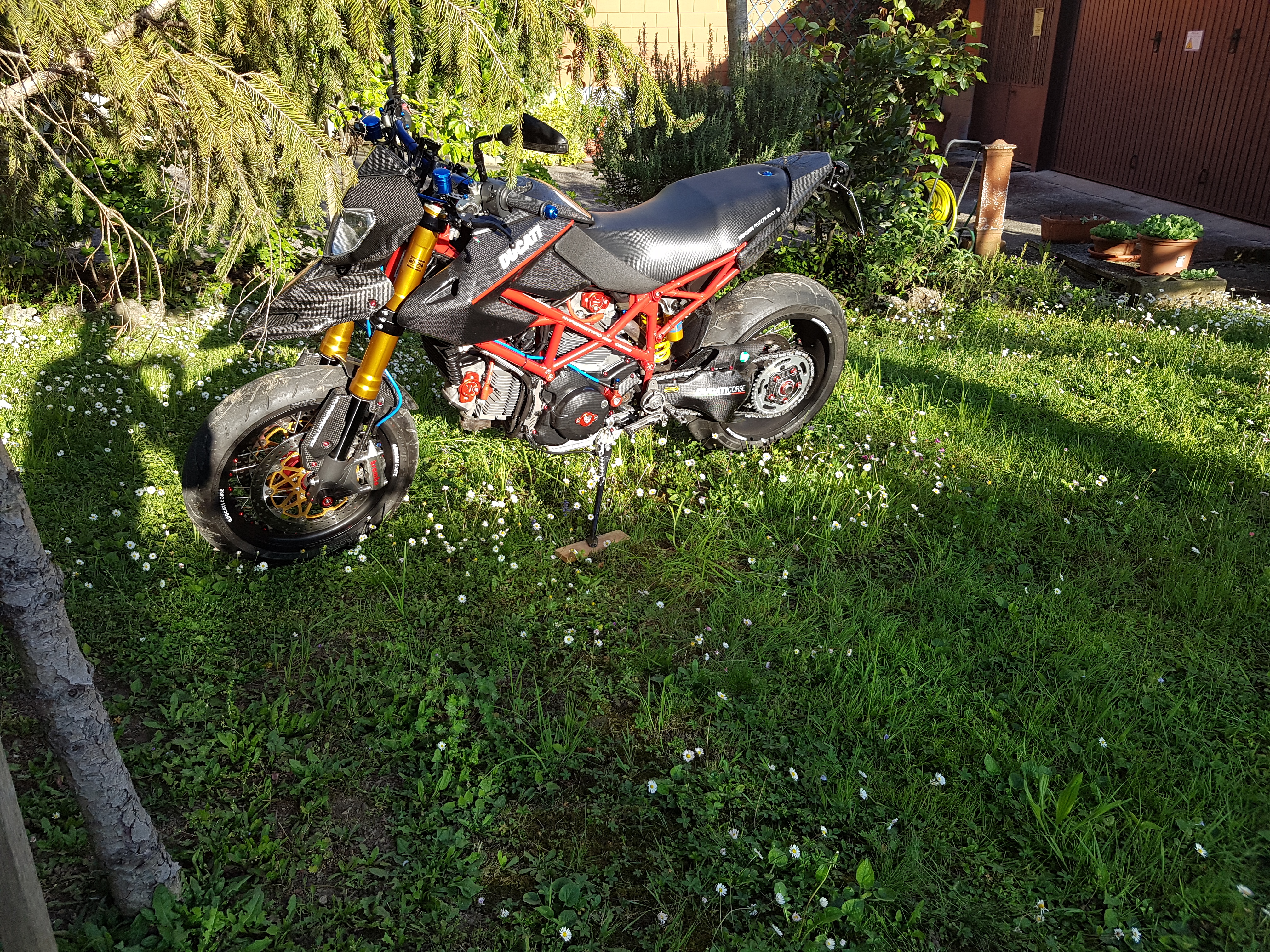 Photo 2782112