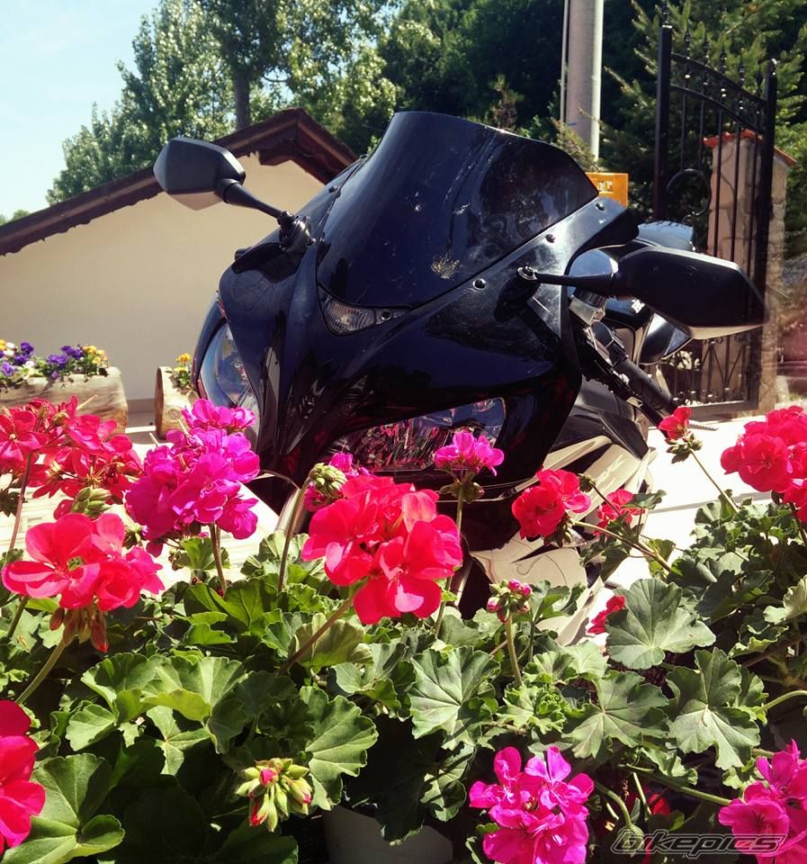 Bike Photo 2782267