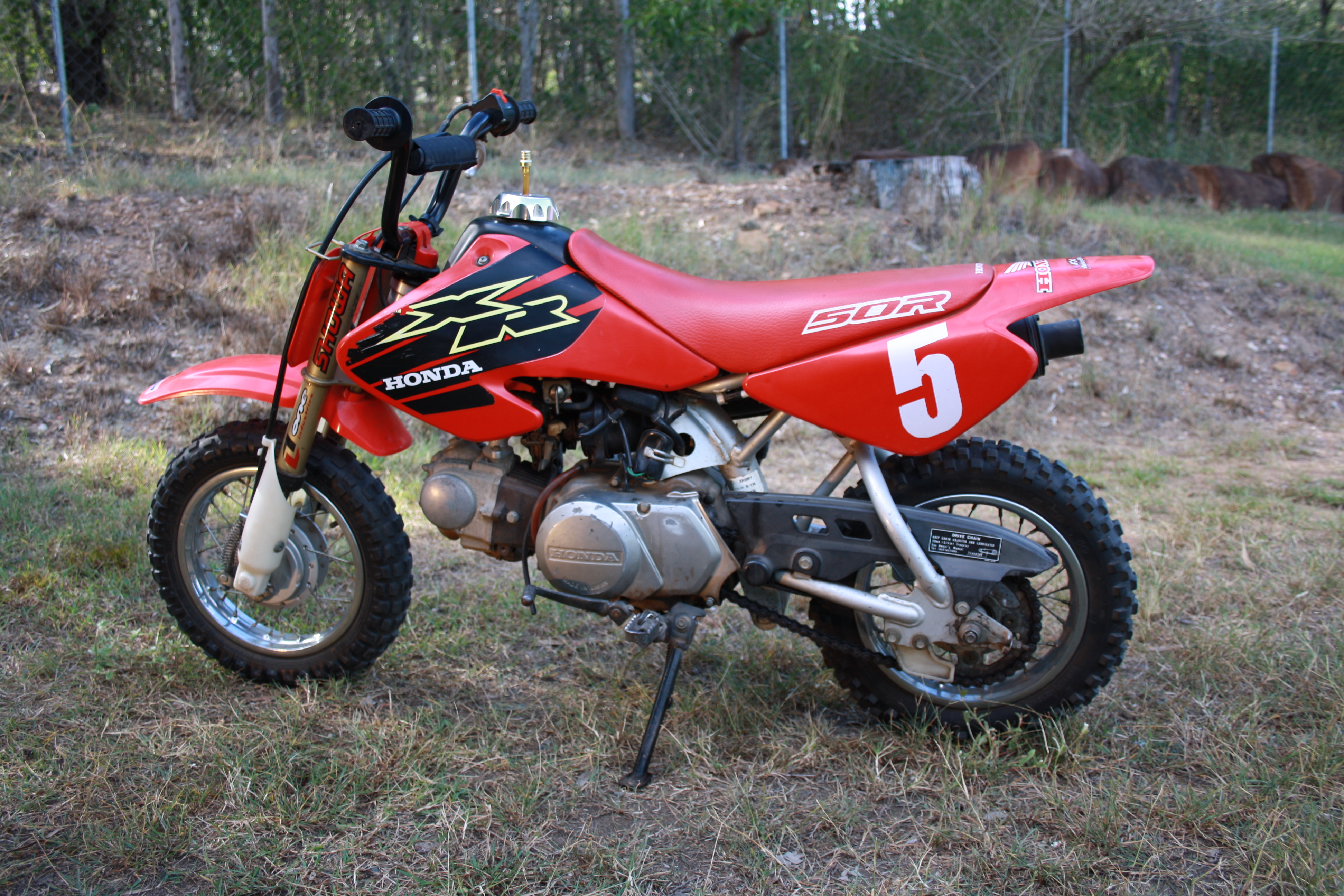 XR 50