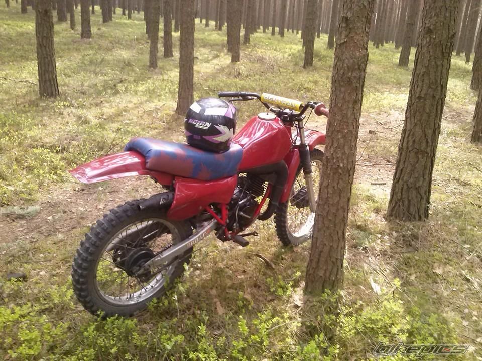 Photo 2782472