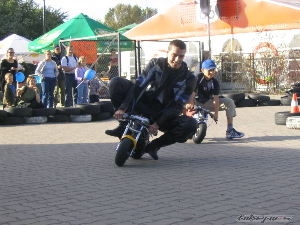 Photo 278258