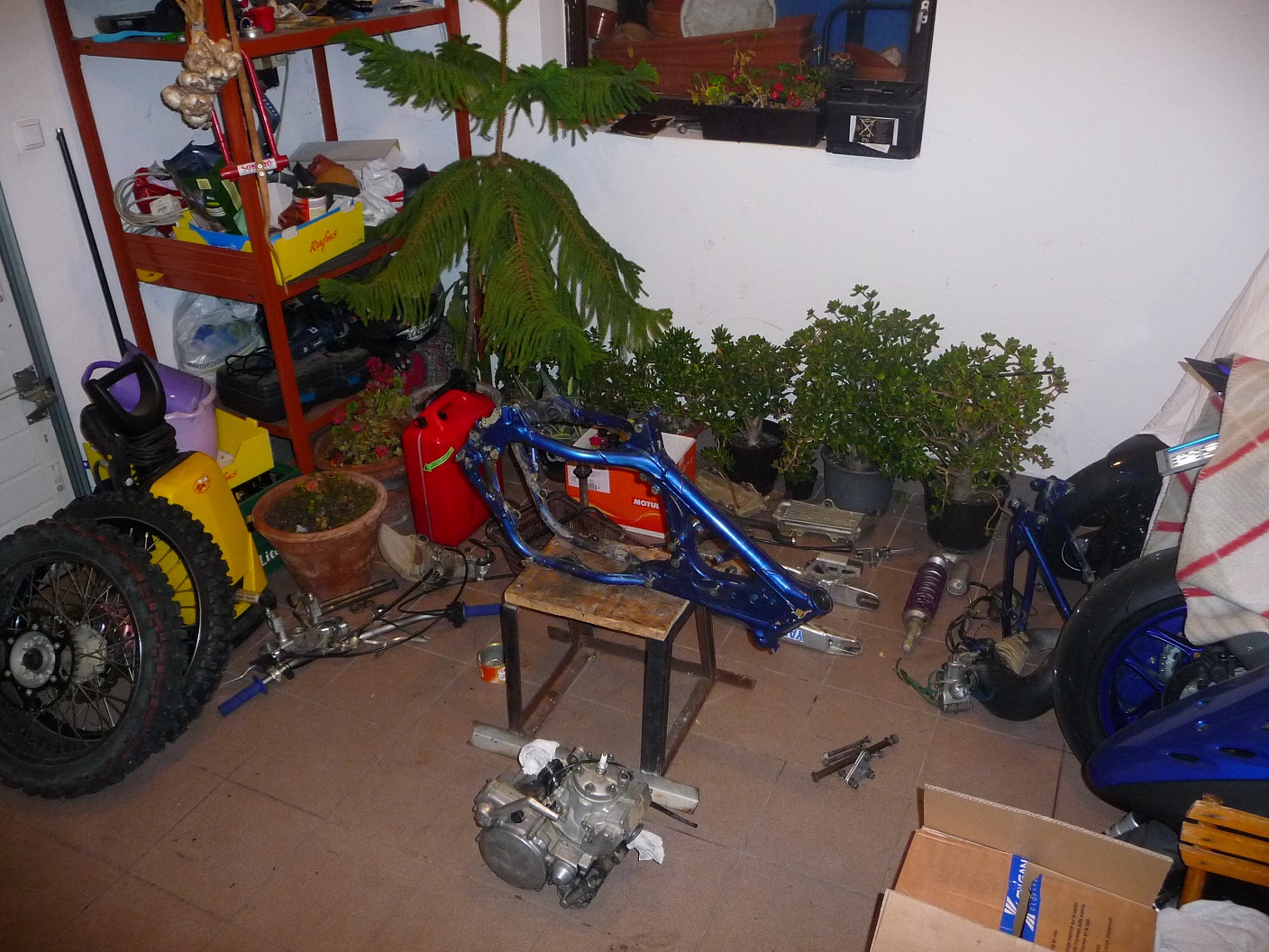 Photo 2782596