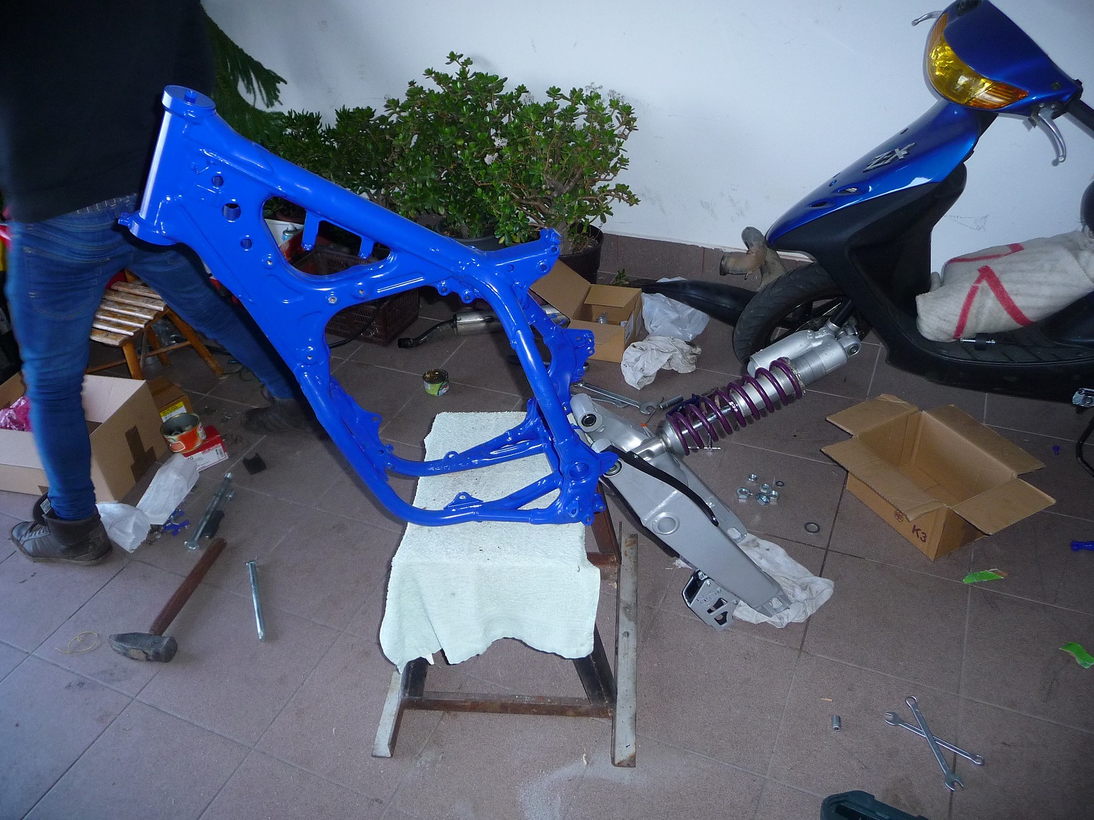 Photo 2782608