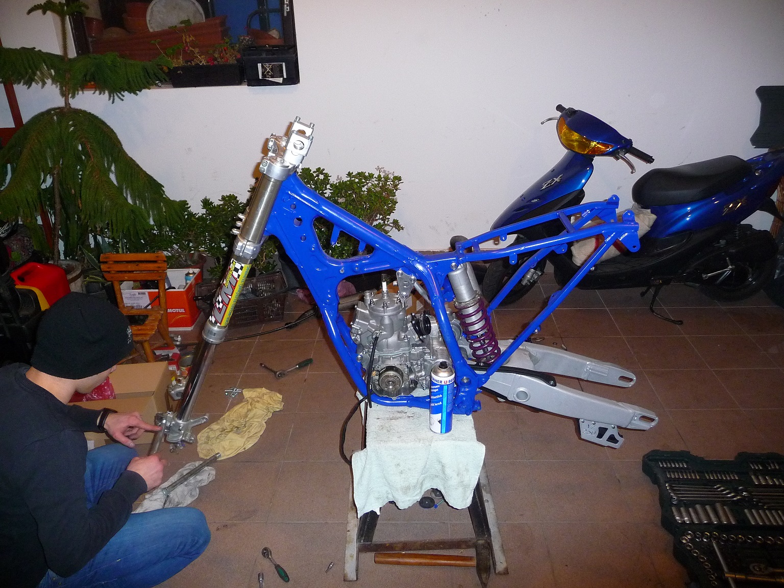 Photo 2782616