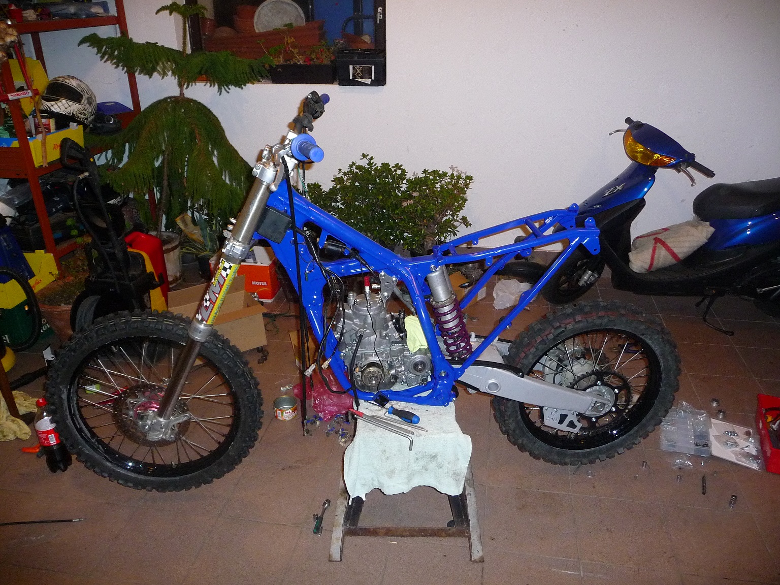 Photo 2782619