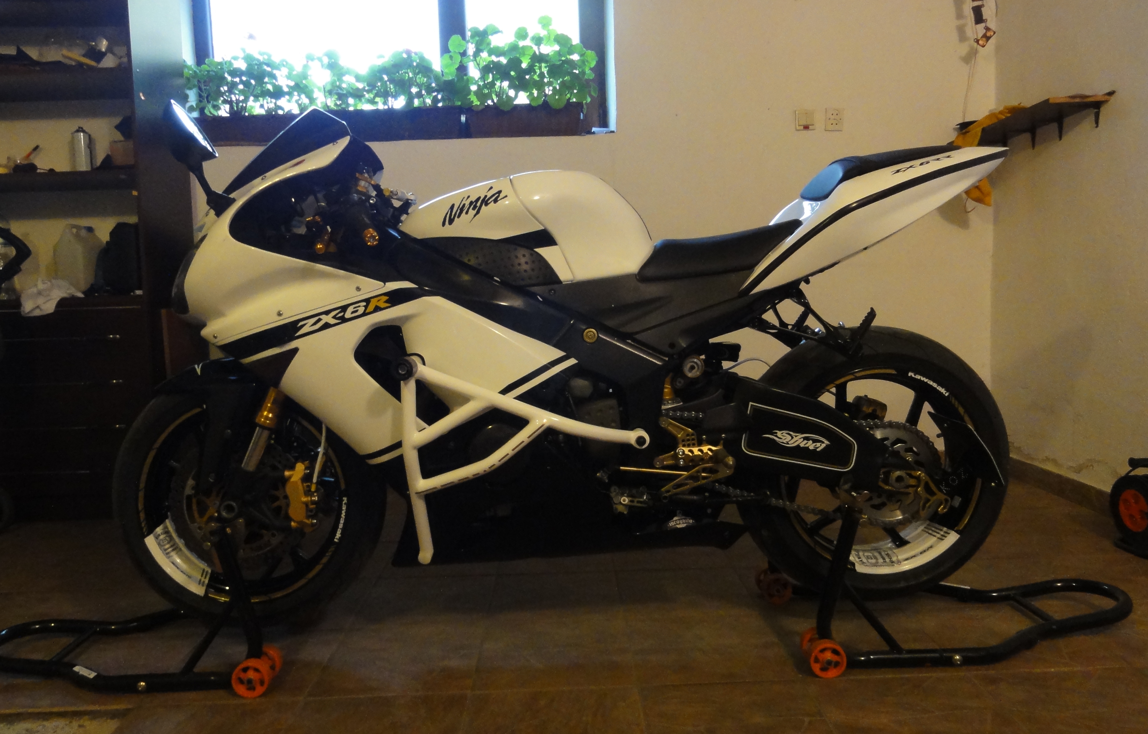 Photo 2782849