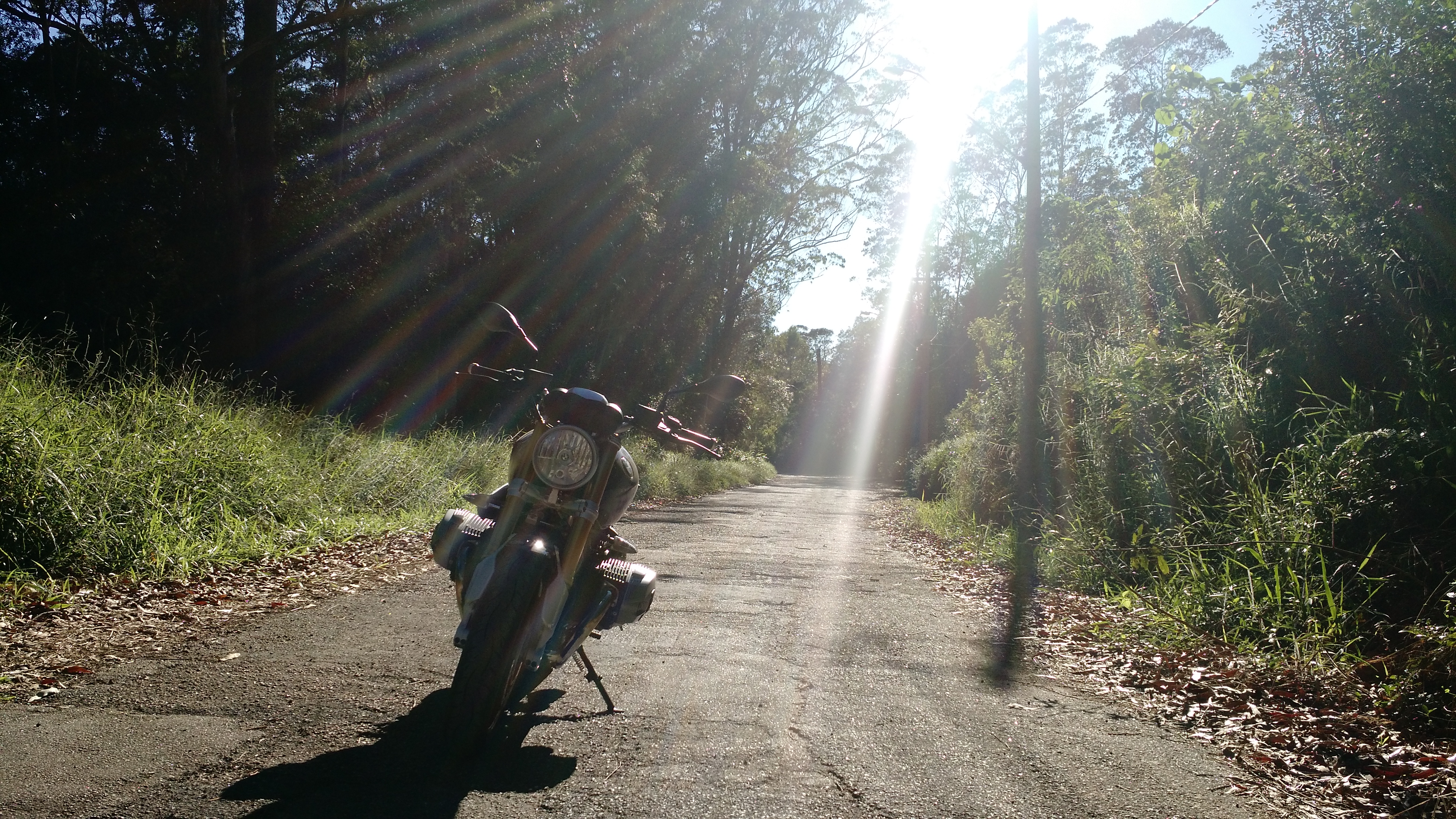 Bike Photo 2782855