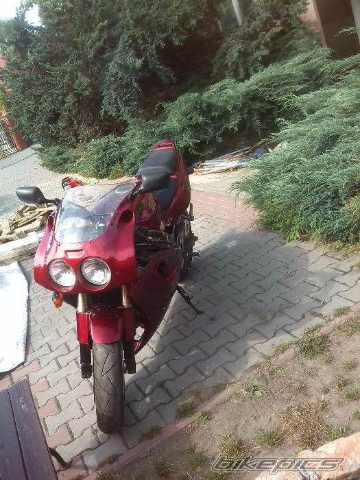 Photo 2782877