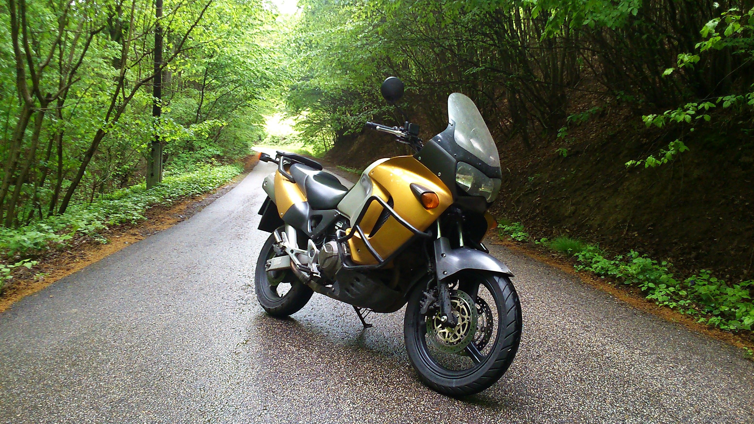 Photo 2782922