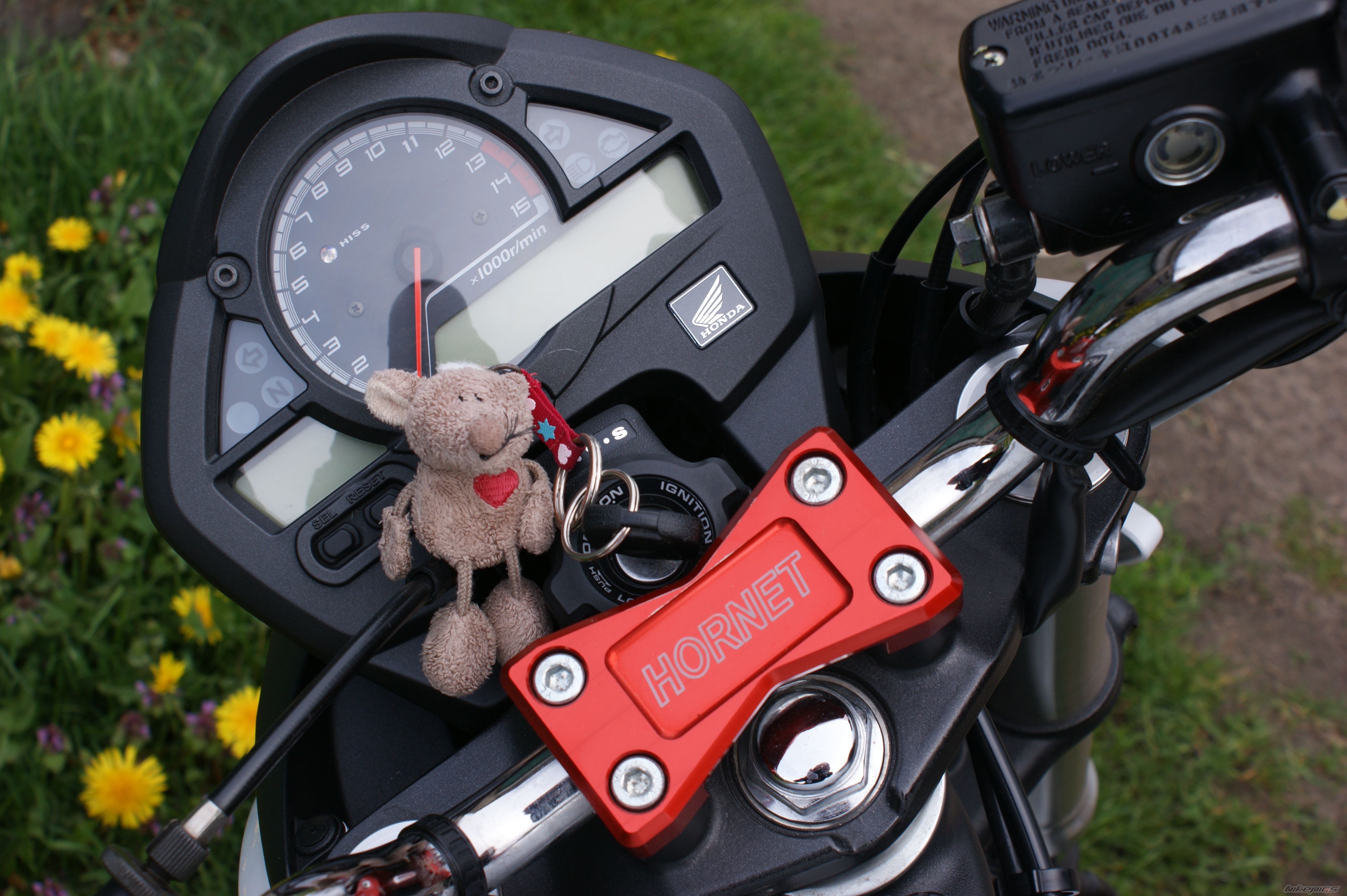 Bike Photo 2782947