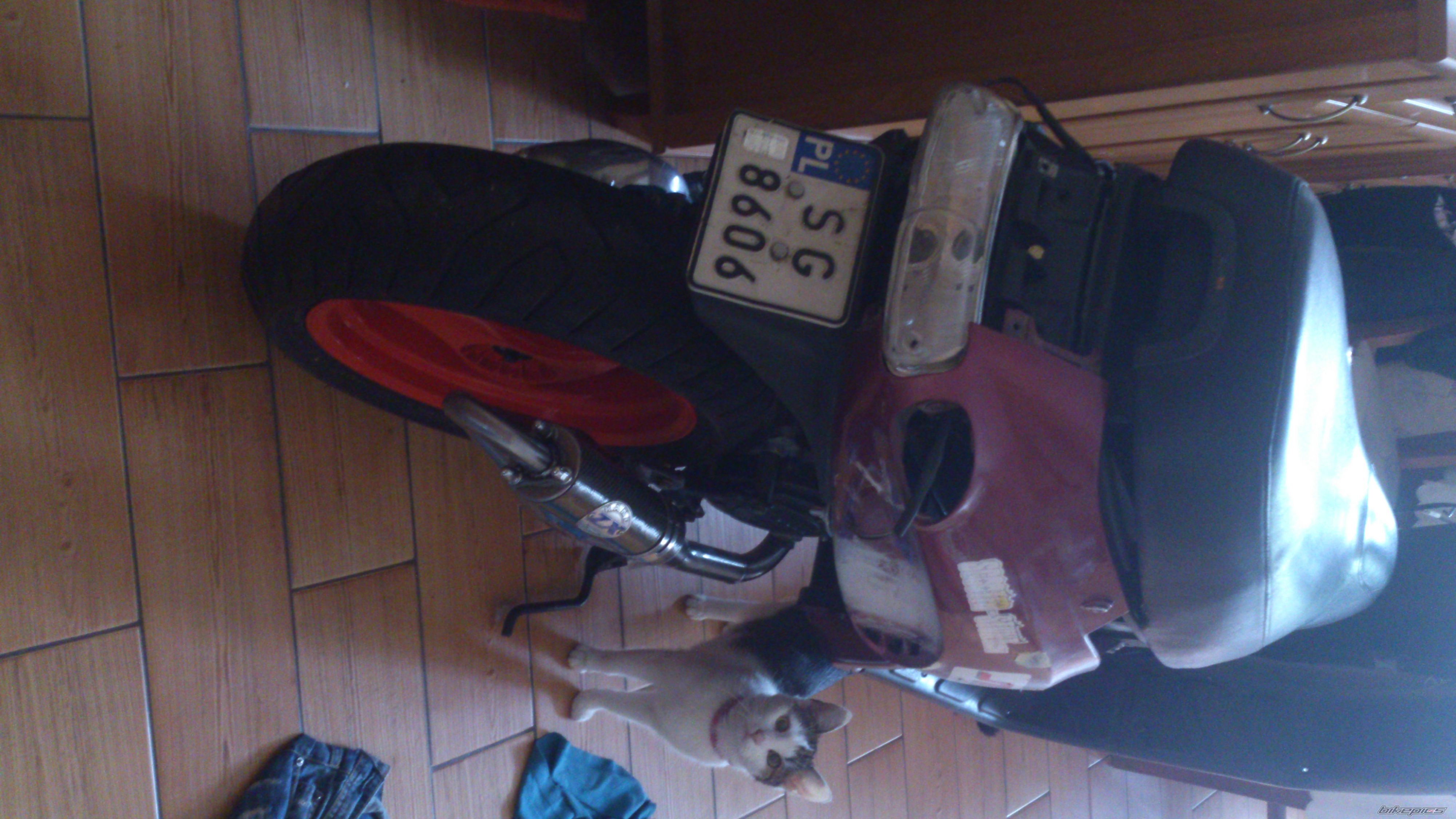 Photo 2782990