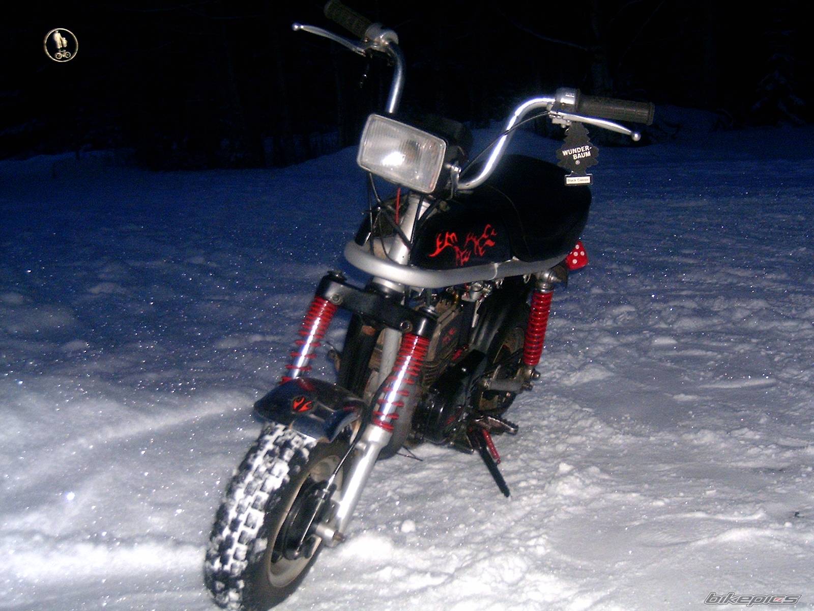 Photo 278302