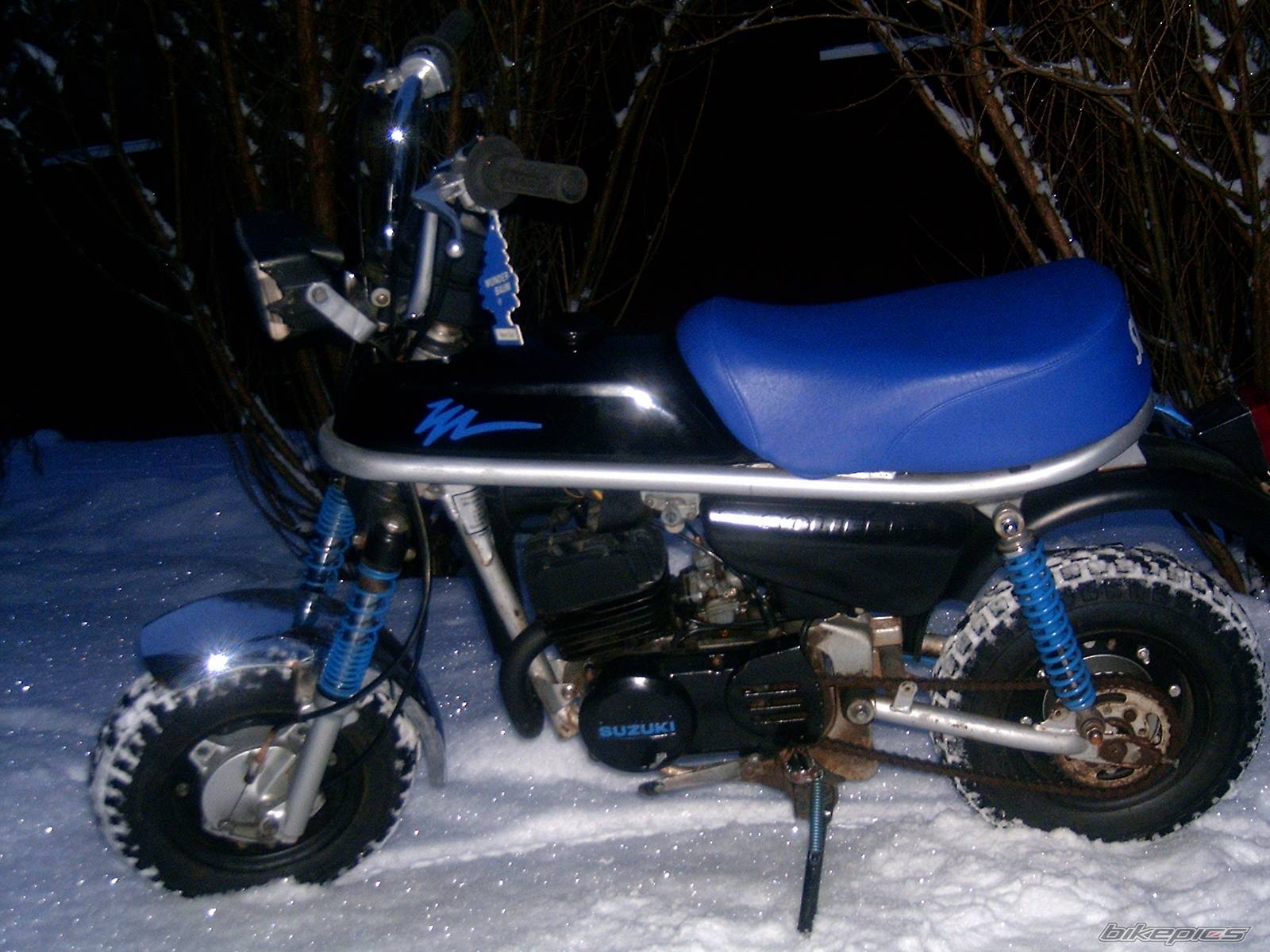 Photo 278314