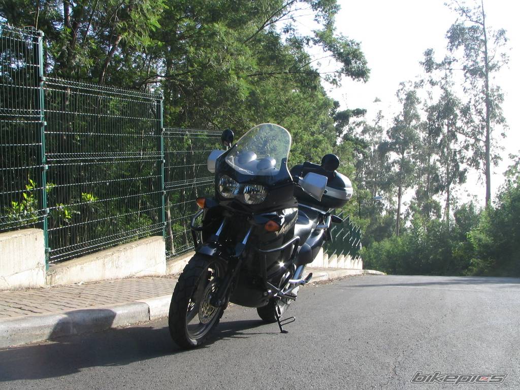 Photo 278328