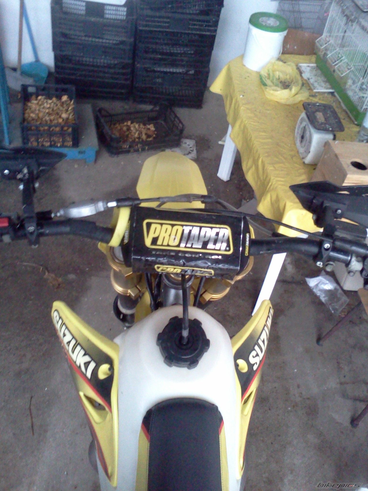 Photo 2783318