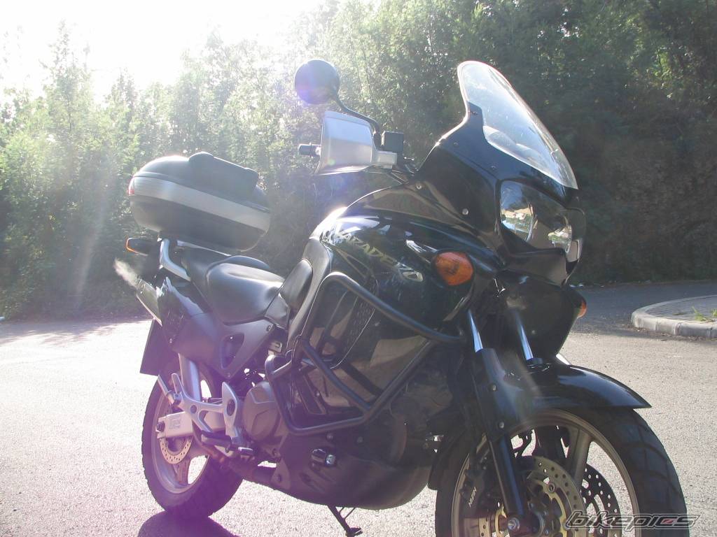 Photo 278332