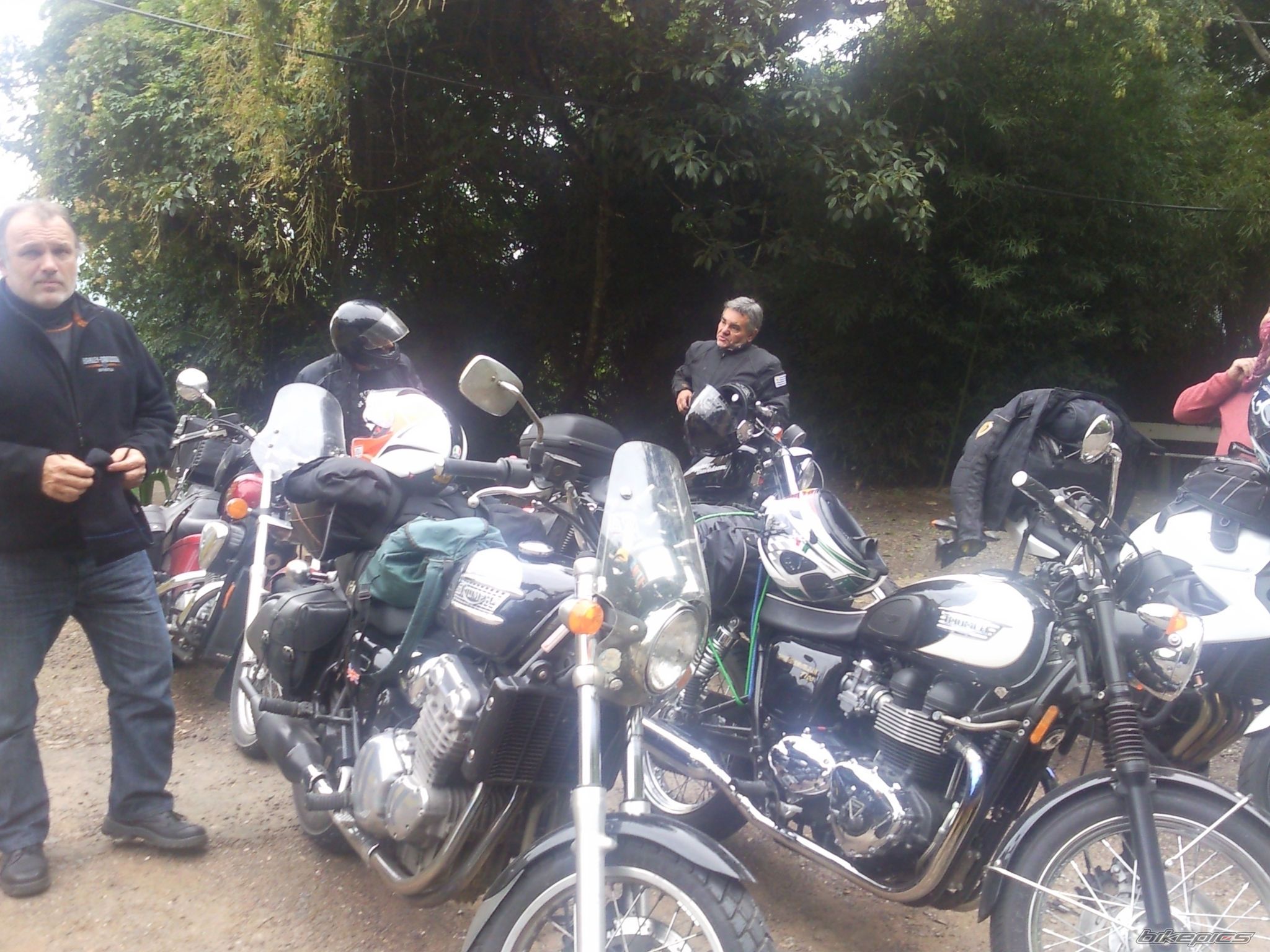 Photo 2783341
