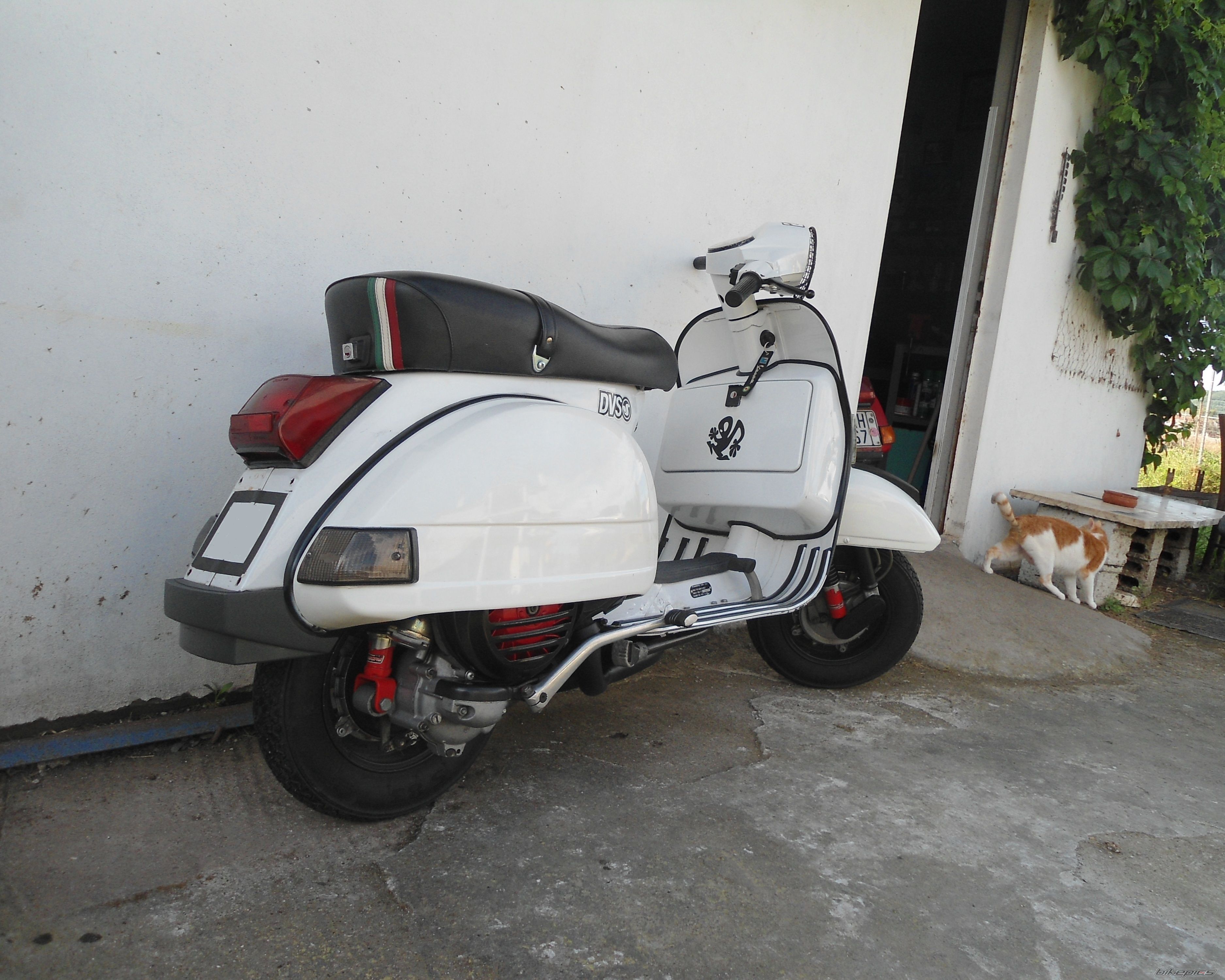 Bike Photo 2783367