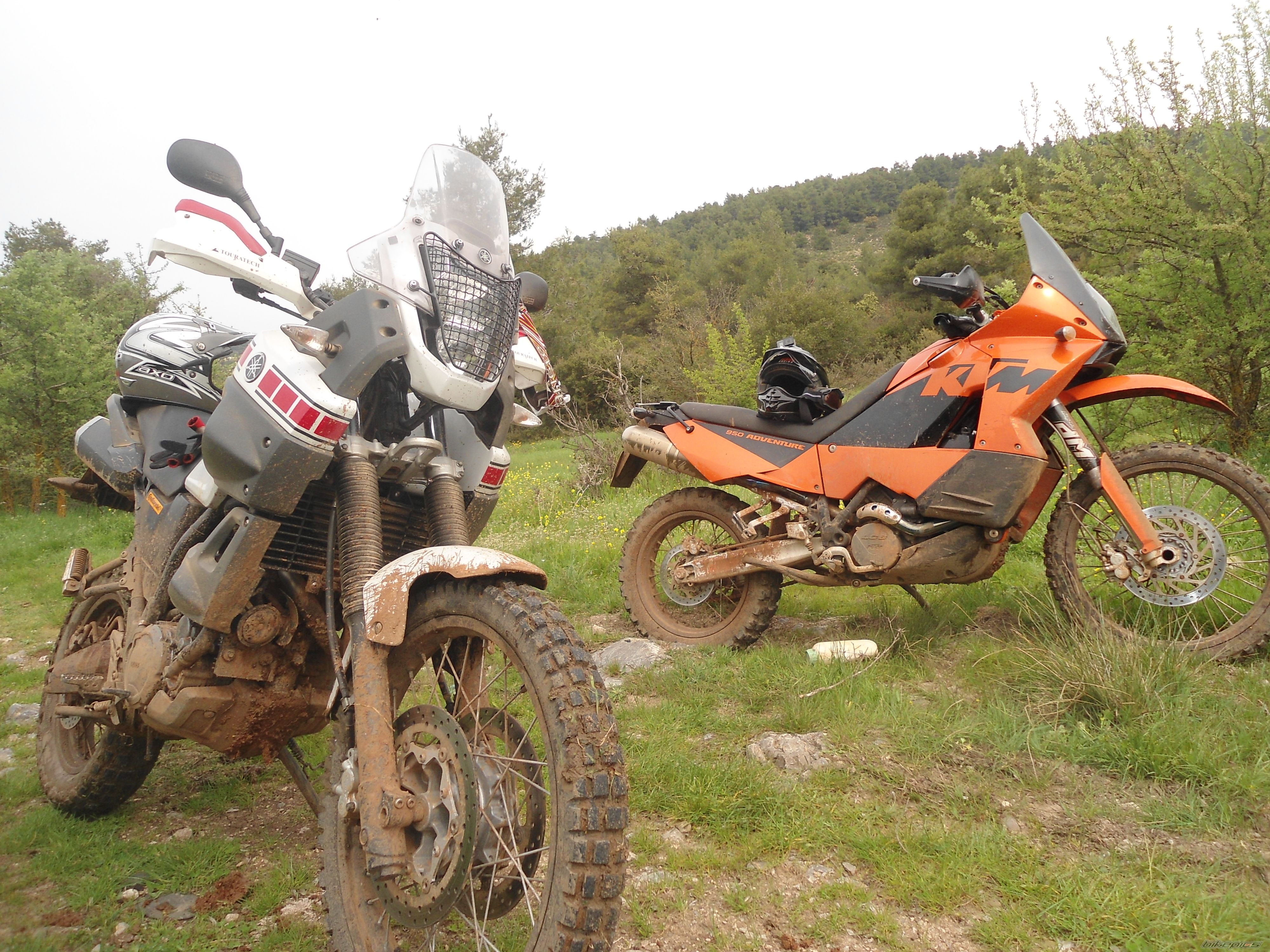 Photo 2783370