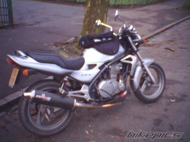 Photo 278340