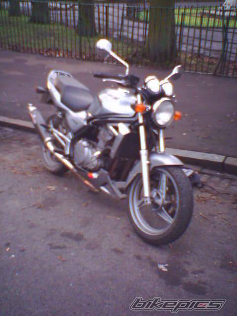 Photo 278341