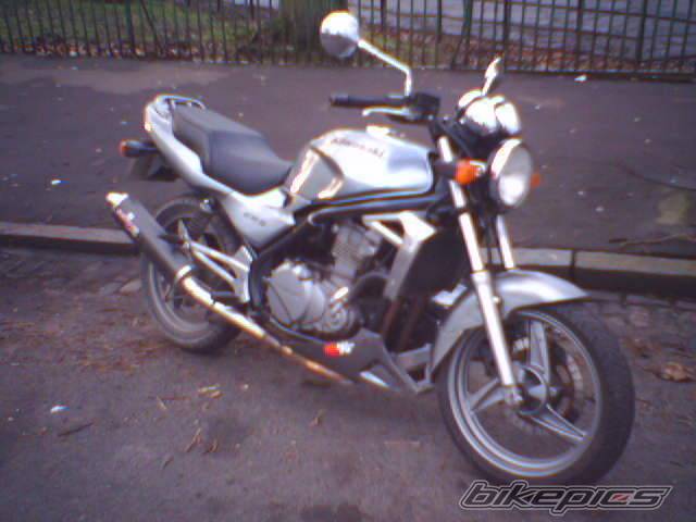 Photo 278345
