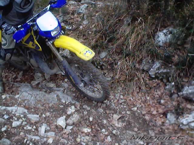 Photo 278346
