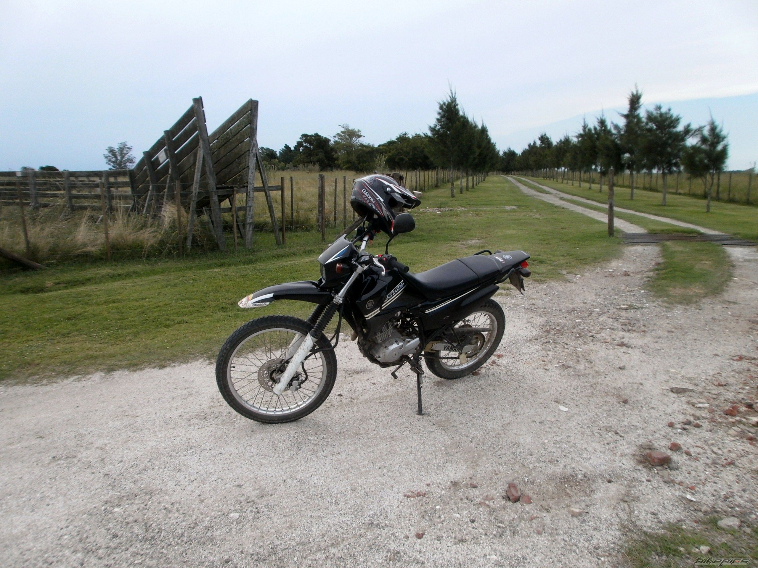 Photo 2783479