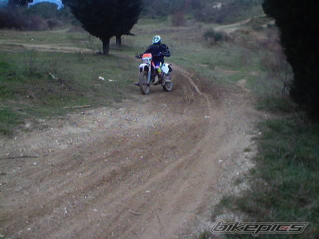 Photo 278348