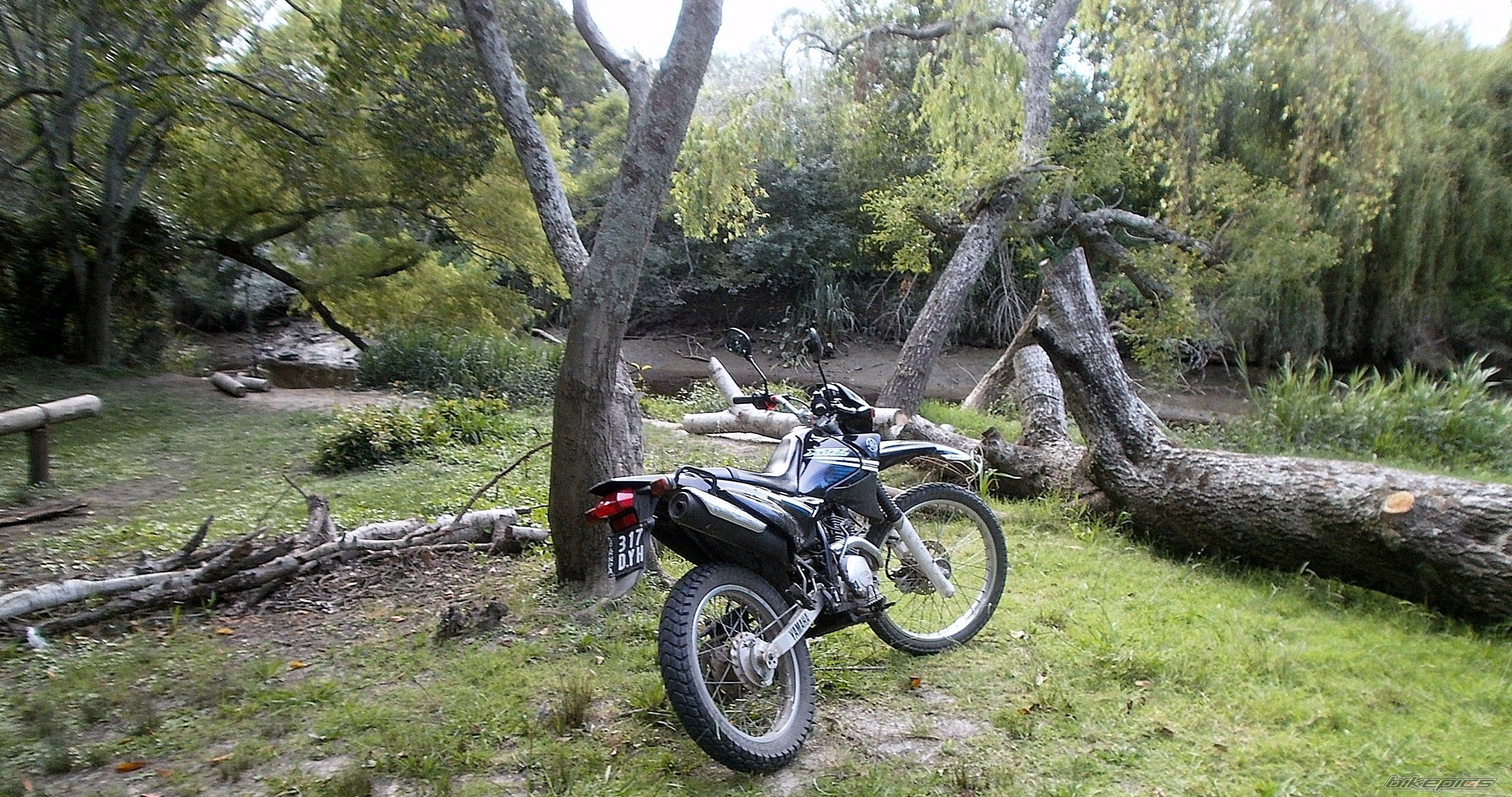 Photo 2783480