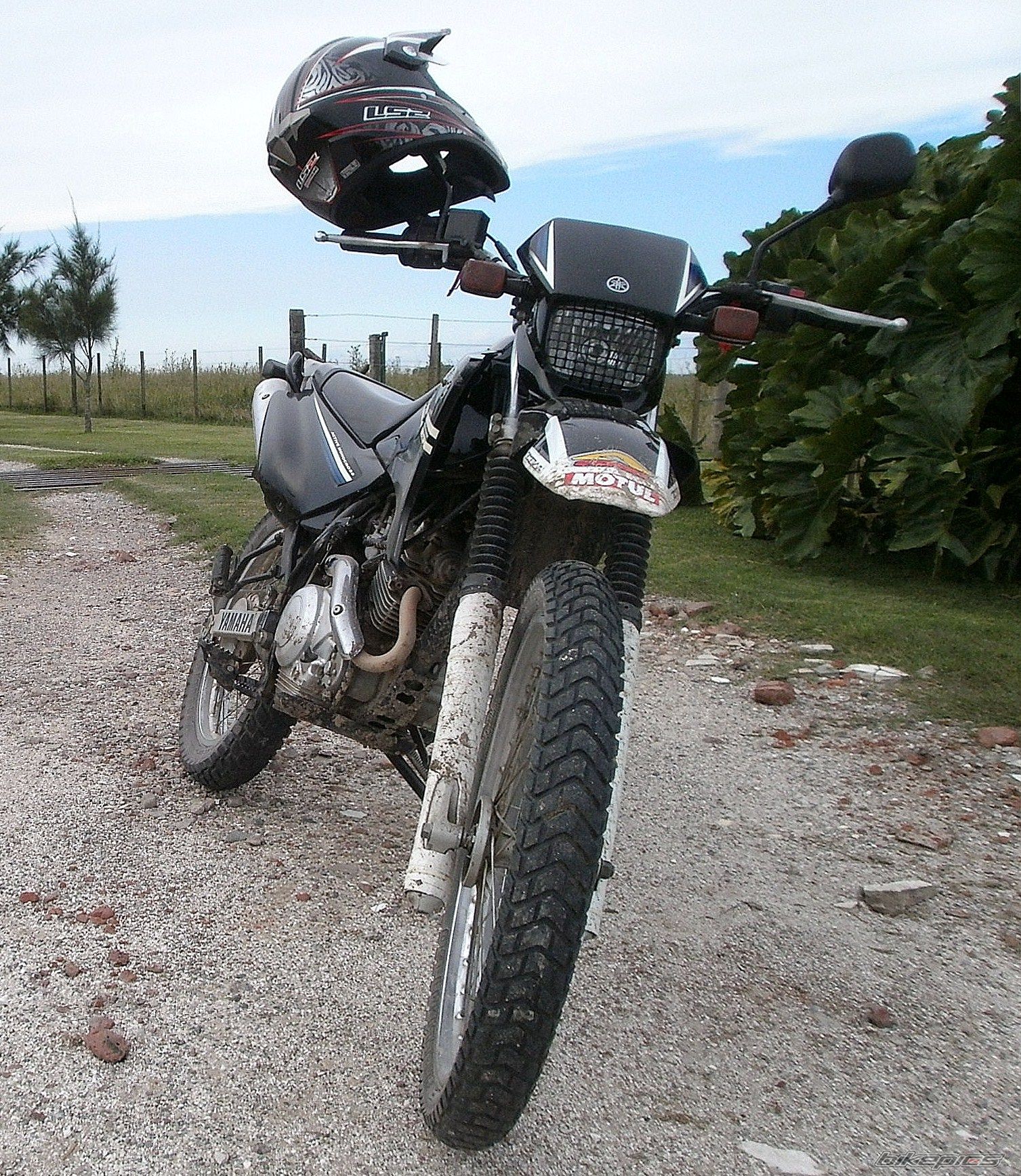 Photo 2783483