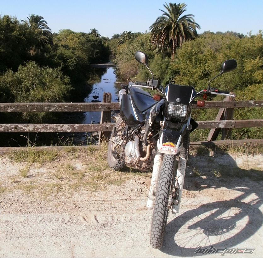 Photo 2783484
