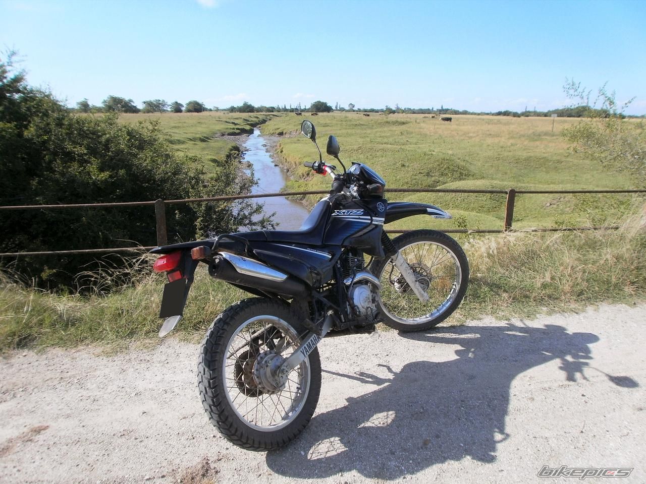 Photo 2783488