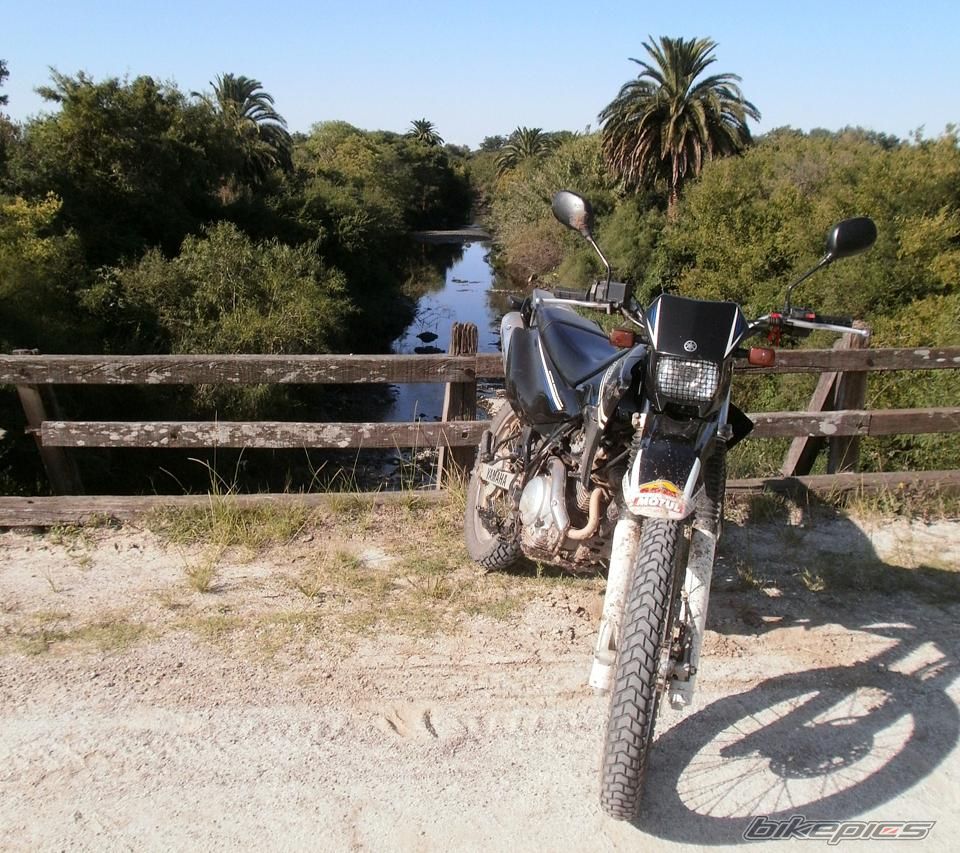 Photo 2783489
