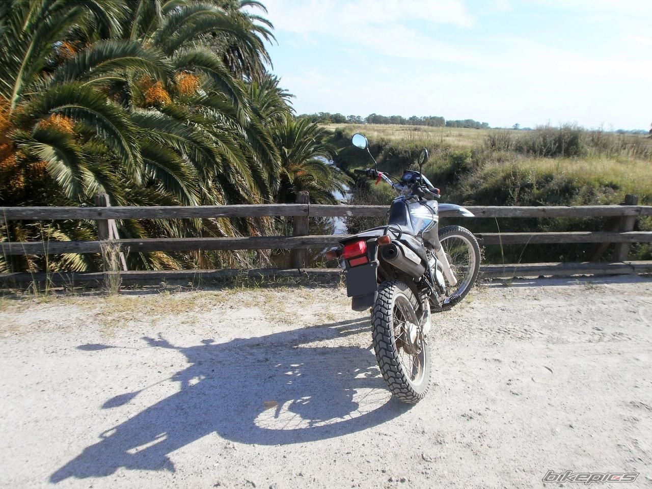 Photo 2783490