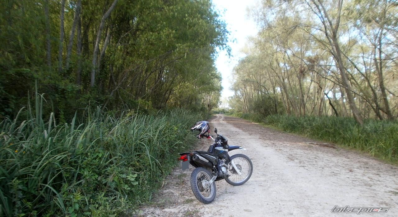 Photo 2783491