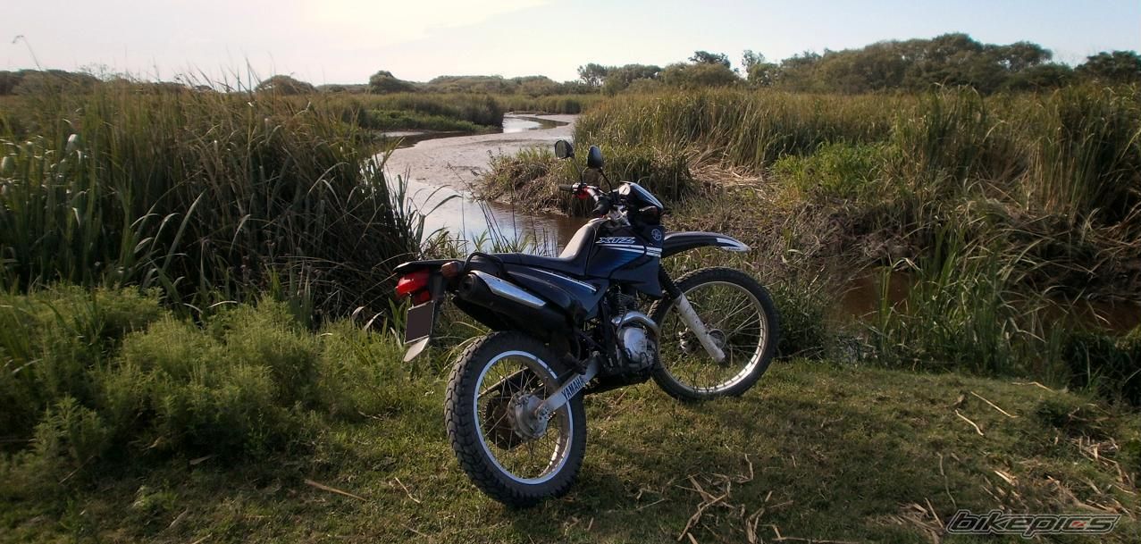 Photo 2783495
