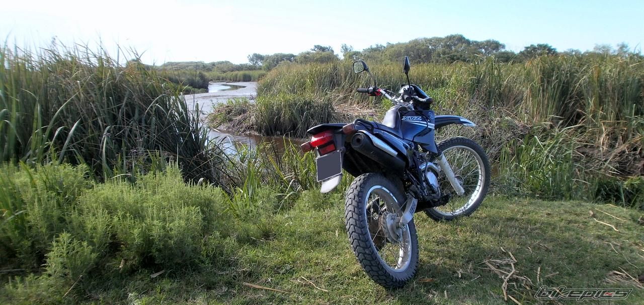 Photo 2783496