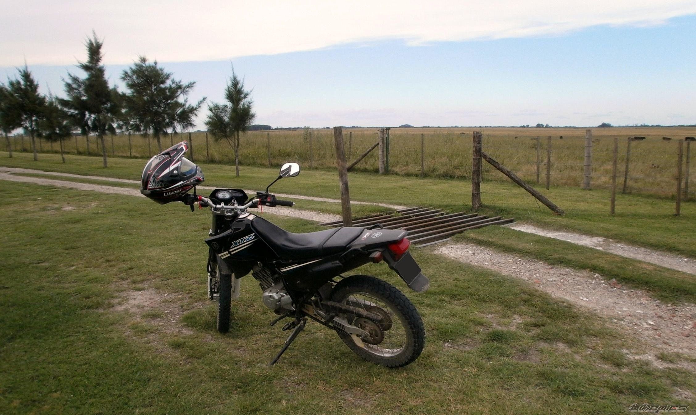 Photo 2783512