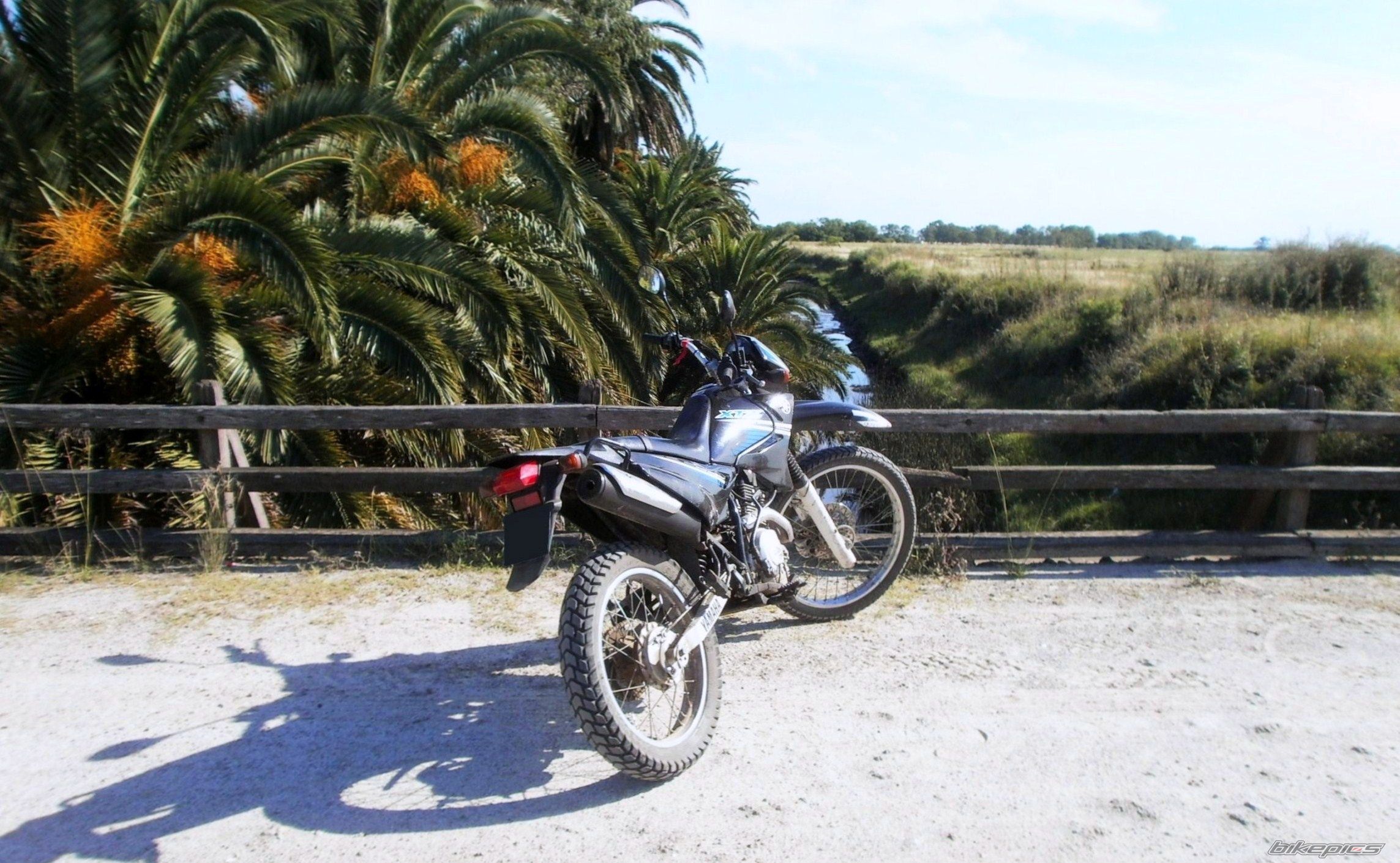 Photo 2783513