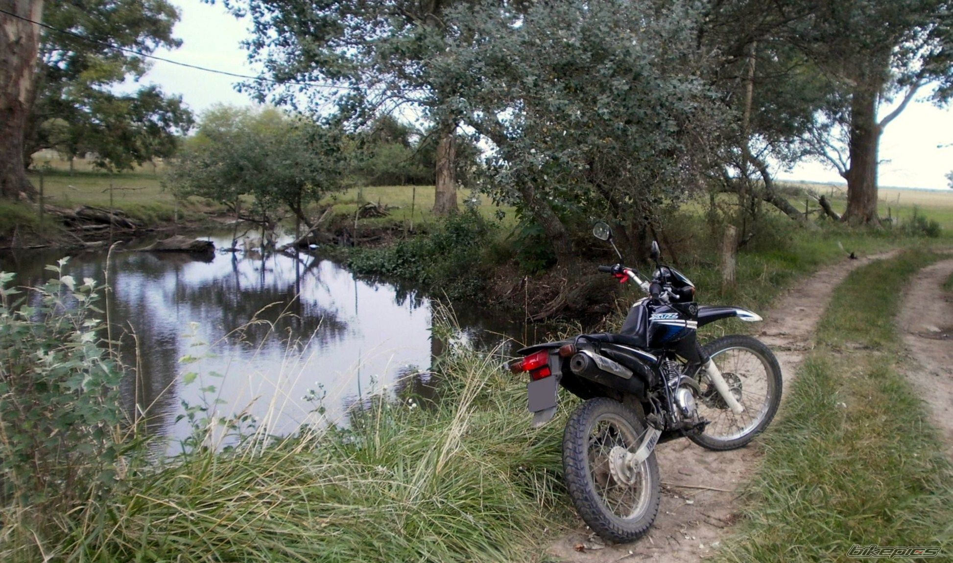 Photo 2783515