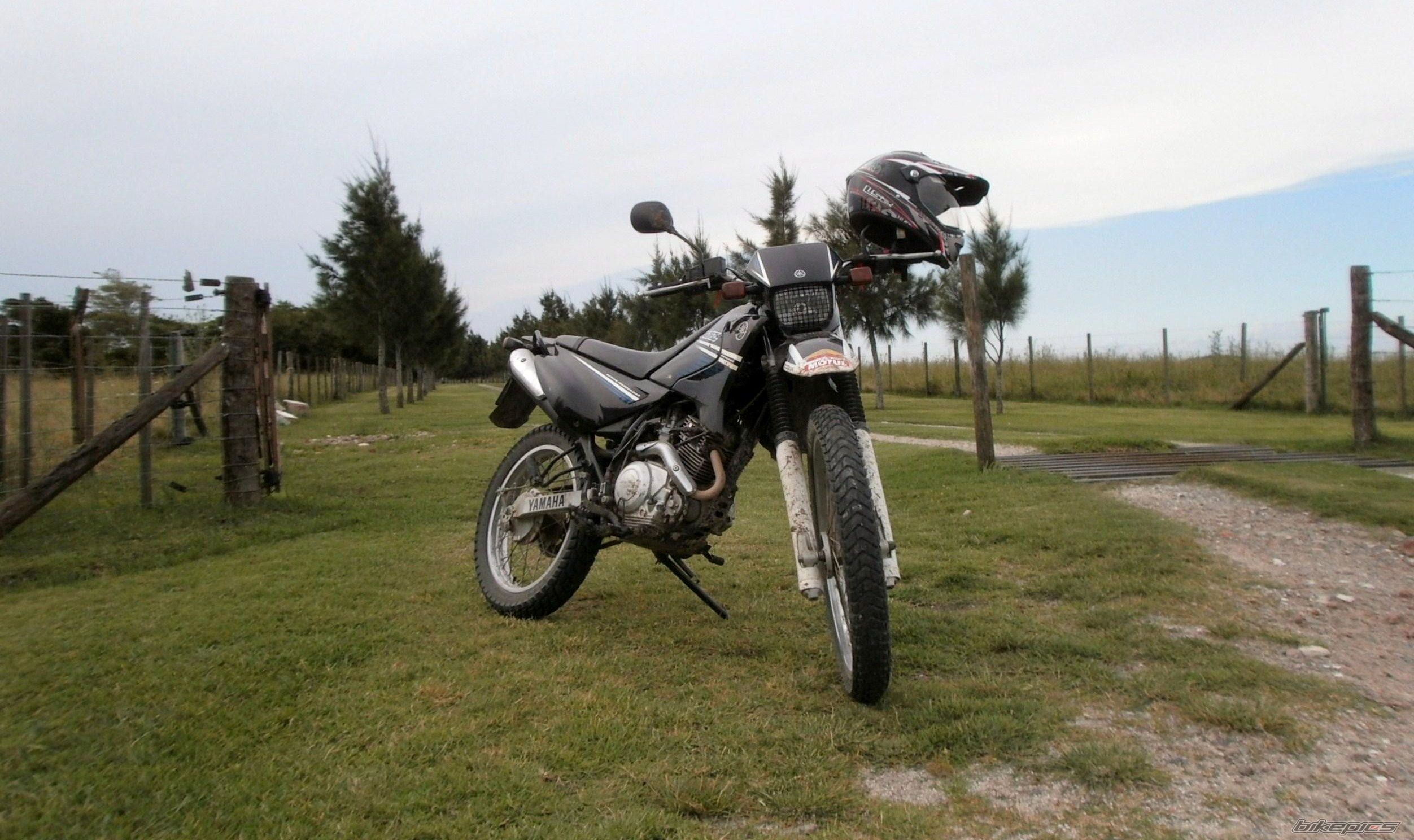 Photo 2783516