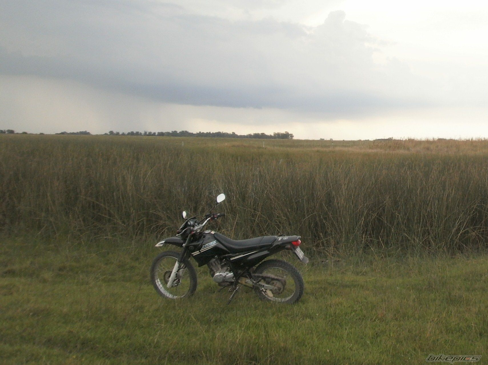 Photo 2783520