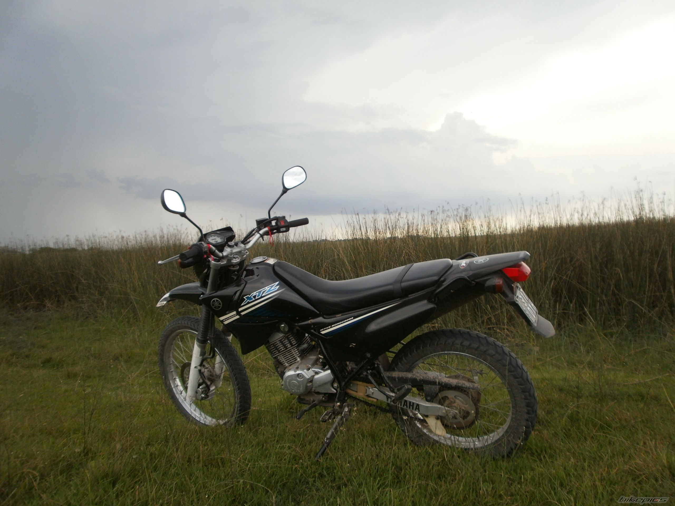 Photo 2783523