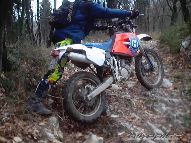 Photo 278353