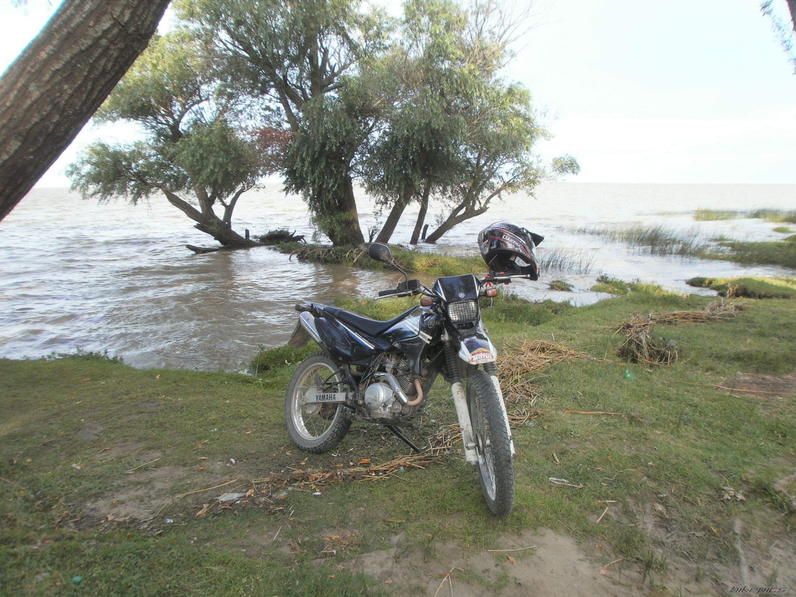 Photo 2783537